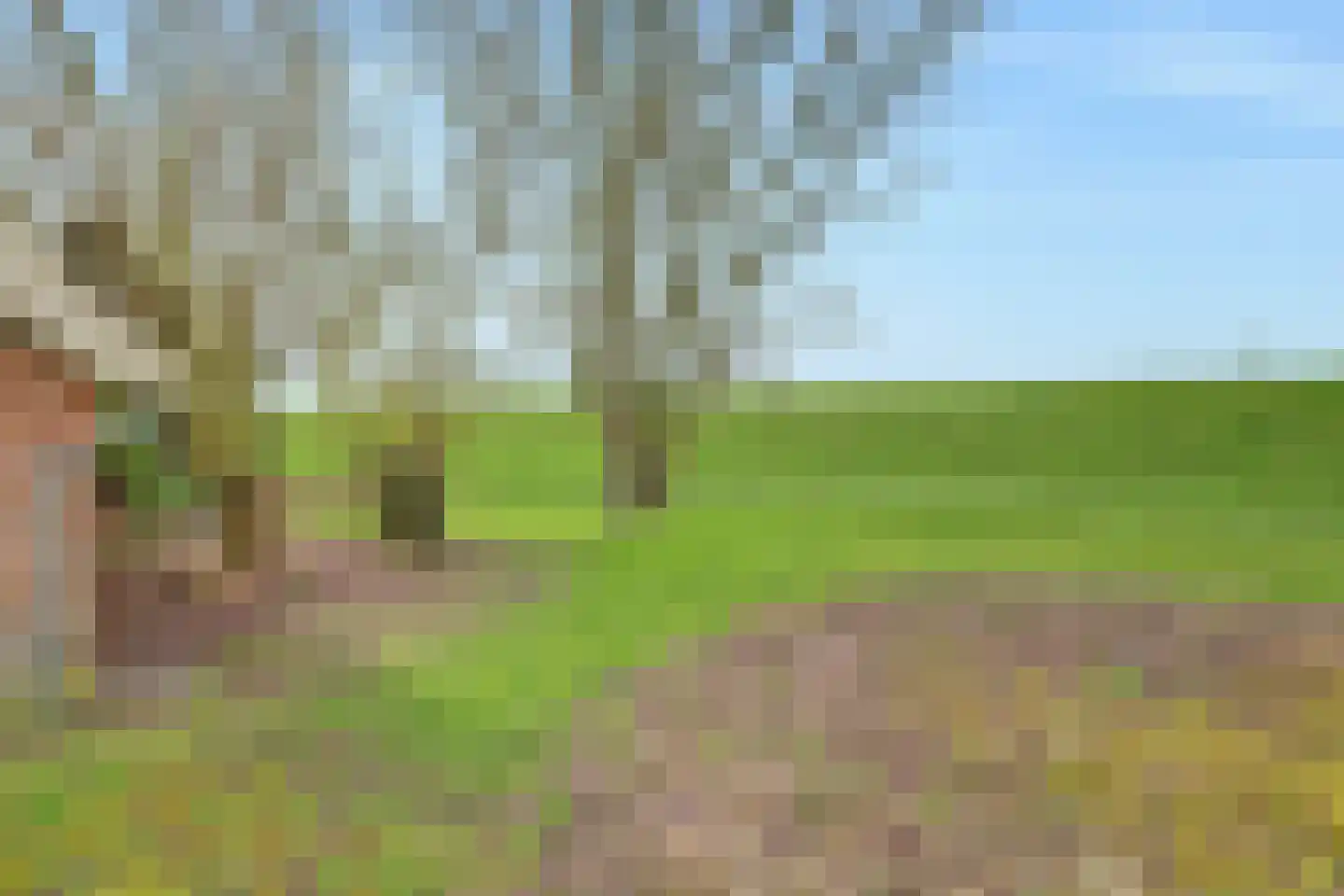 Meerkoetweg 4 's-Heer Arendskerke thumbnail 30