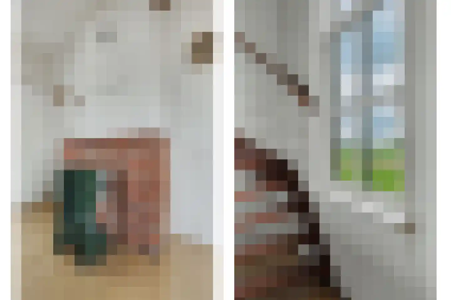 Meerkoetweg 8 's-Heer Arendskerke thumbnail 10
