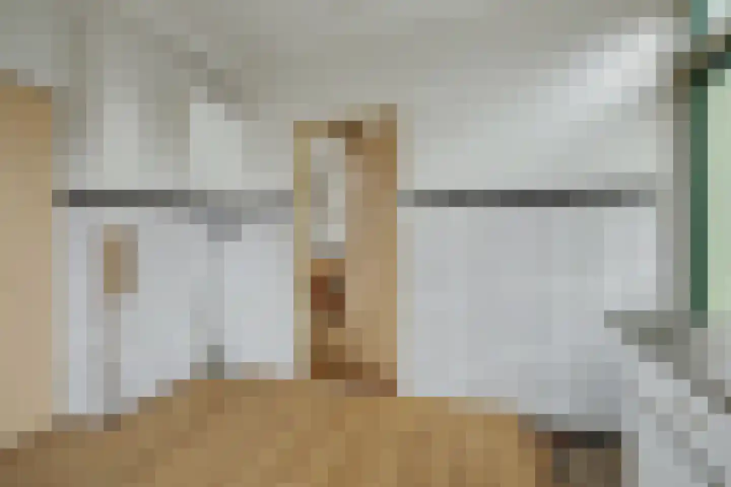 Meerkoetweg 8 's-Heer Arendskerke thumbnail 12