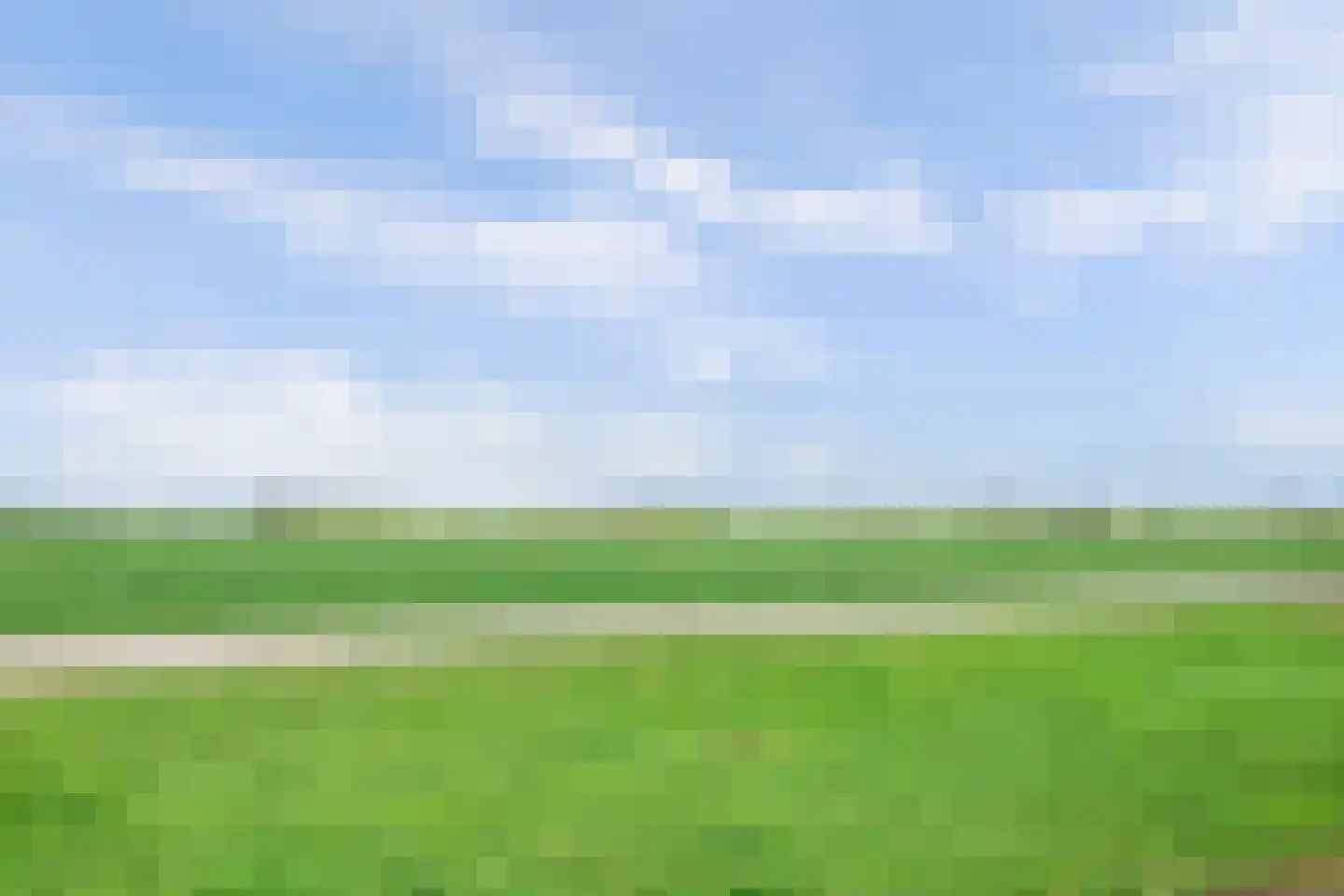 Meerkoetweg 8 's-Heer Arendskerke thumbnail 25