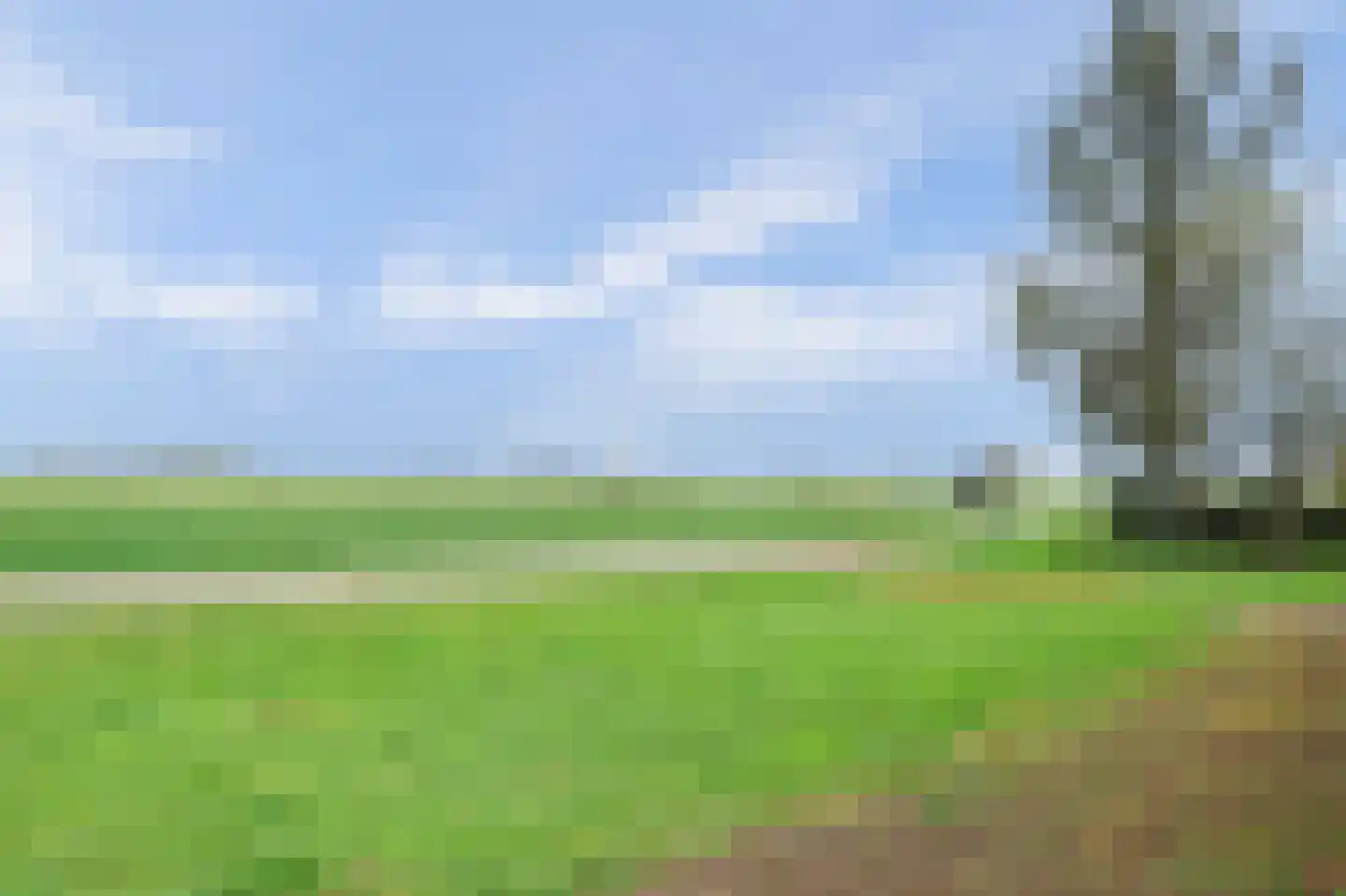 Meerkoetweg 8 's-Heer Arendskerke thumbnail 35