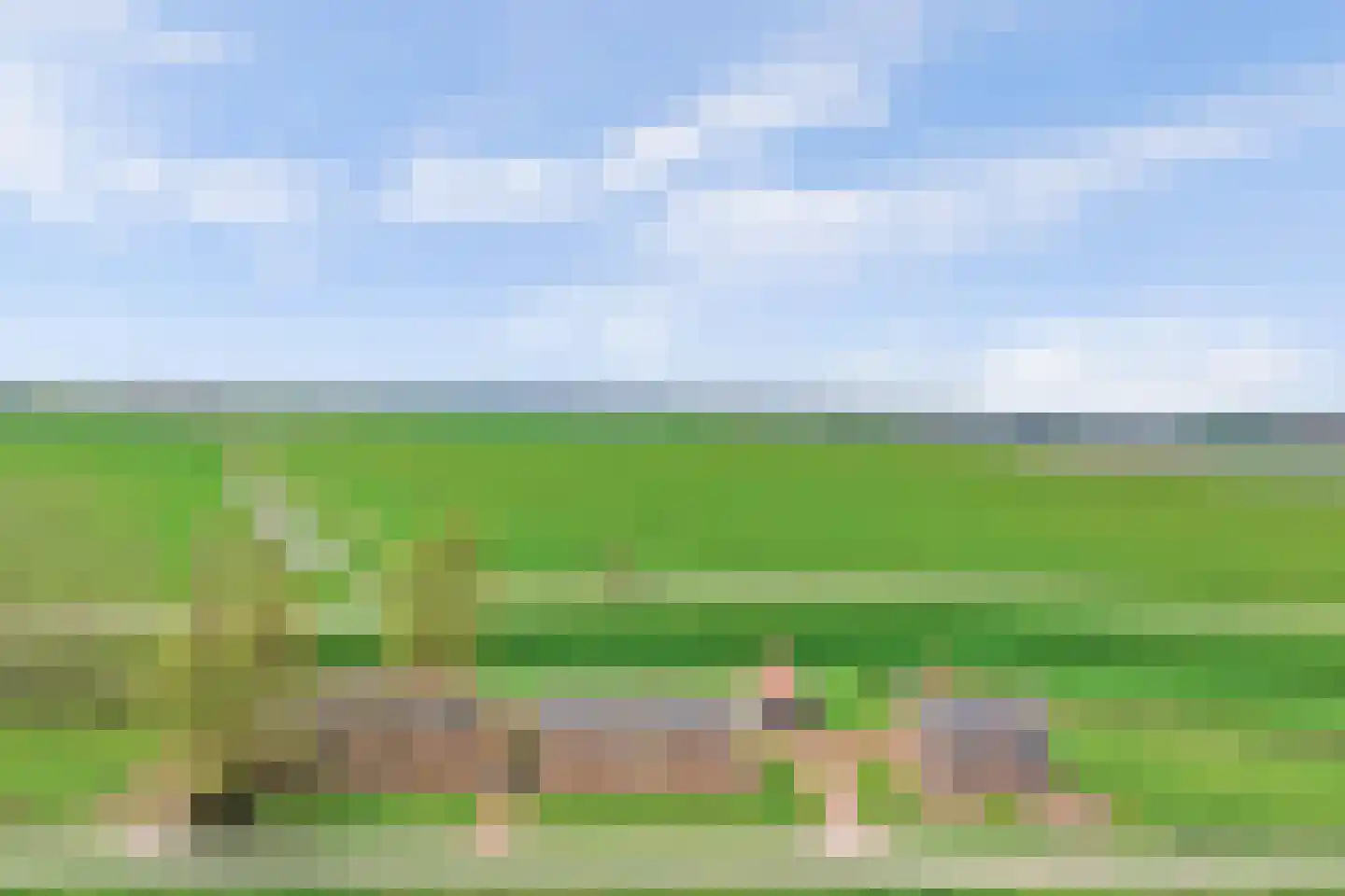Meerkoetweg 8 's-Heer Arendskerke thumbnail 36