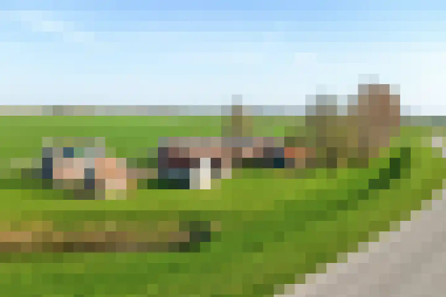 Meerkoetweg 8 's-Heer Arendskerke thumbnail 4