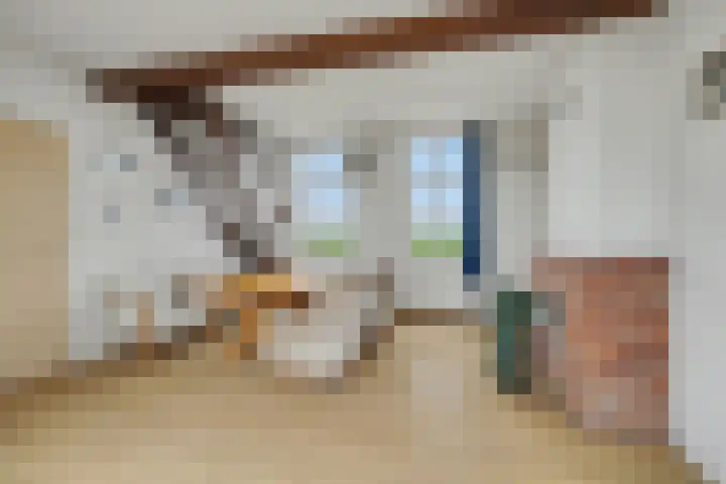 Meerkoetweg 8 's-Heer Arendskerke thumbnail 8