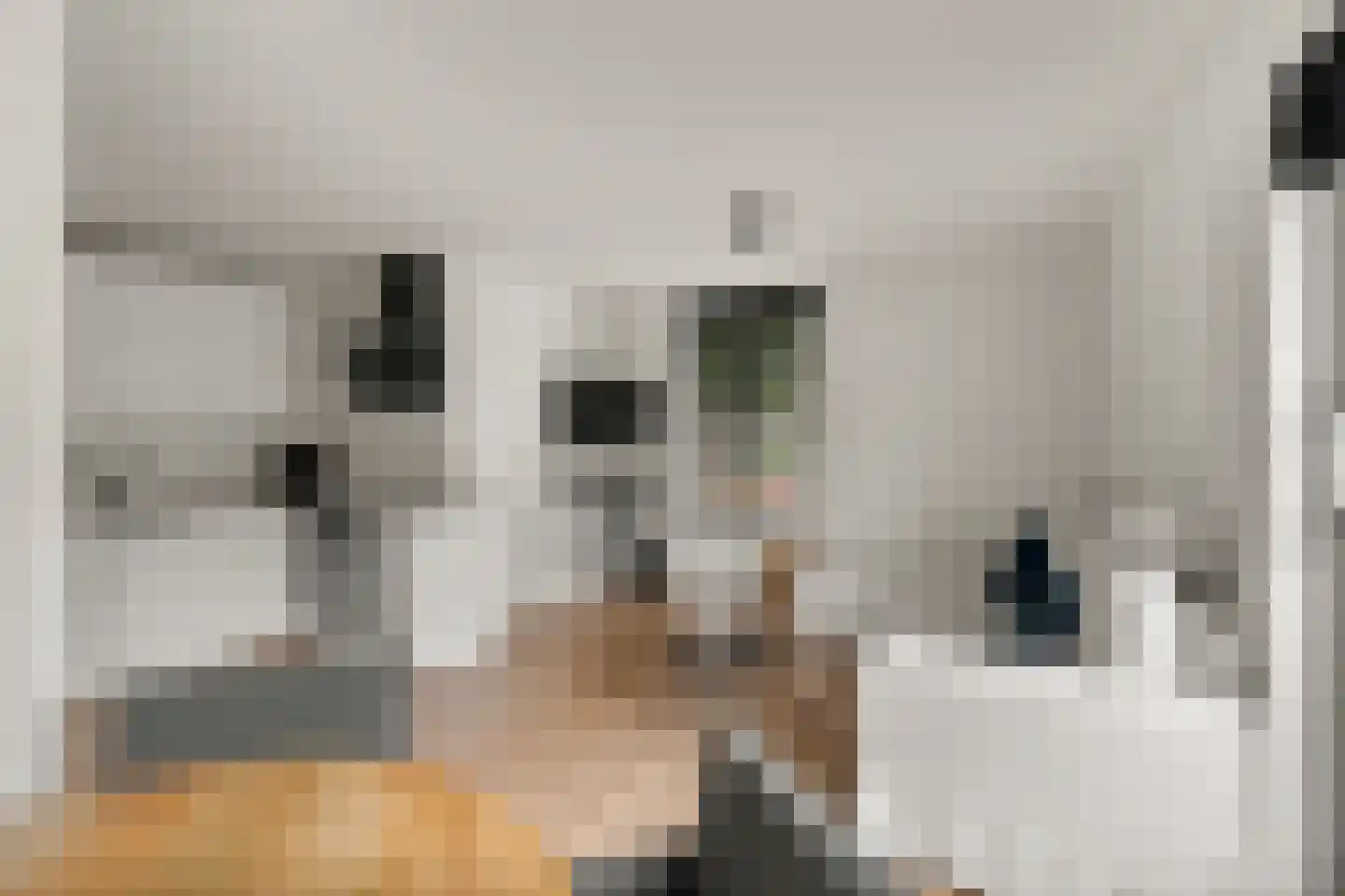 Meerkoetweide 20 Houten thumbnail 15