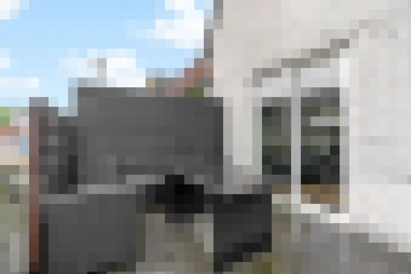 Meerkoetweide 20 Houten thumbnail 17