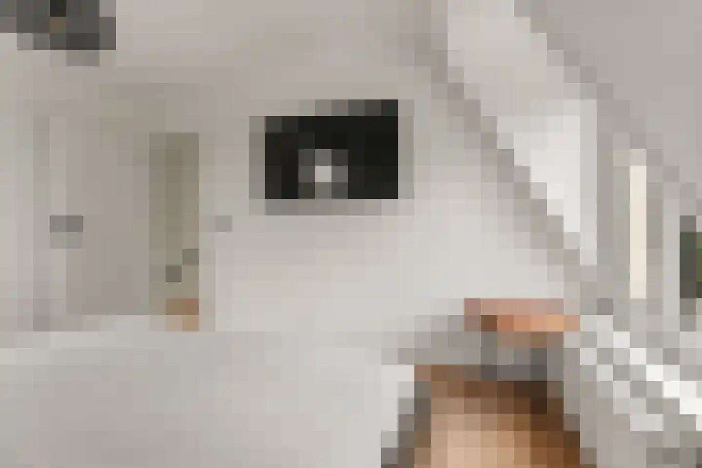 Meerkoetweide 20 Houten thumbnail 22