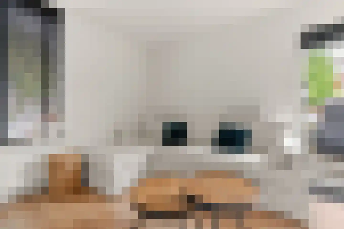 Meerkoetweide 20 Houten thumbnail 7