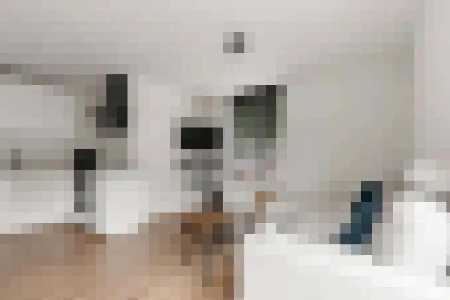 Meerkoetweide 20 Houten thumbnail 9