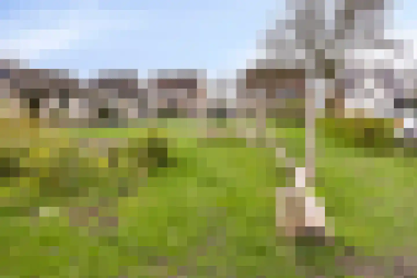 Meerkoetweide 34 IJsselstein thumbnail 33