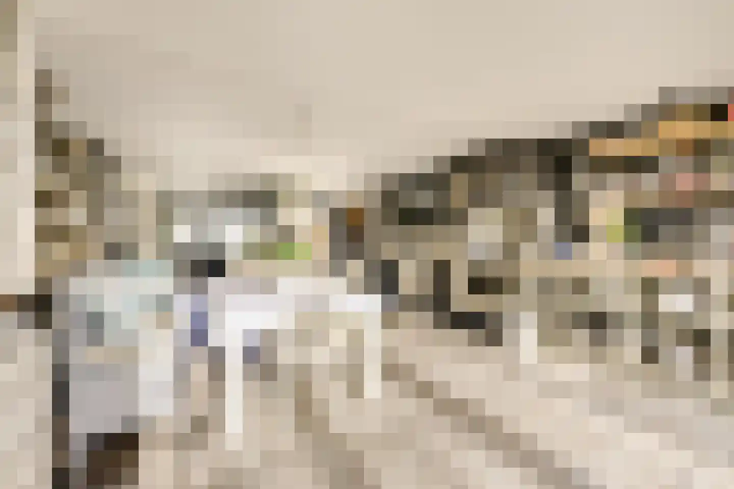 Meerkoetweide 79 Houten thumbnail 11