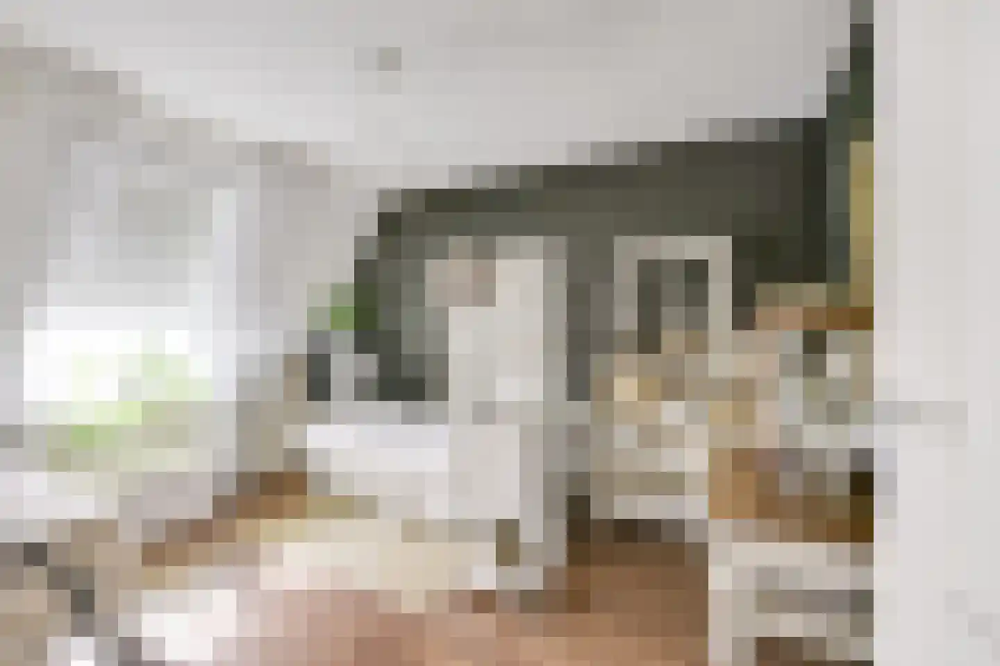 Meerkoetweide 79 Houten thumbnail 27