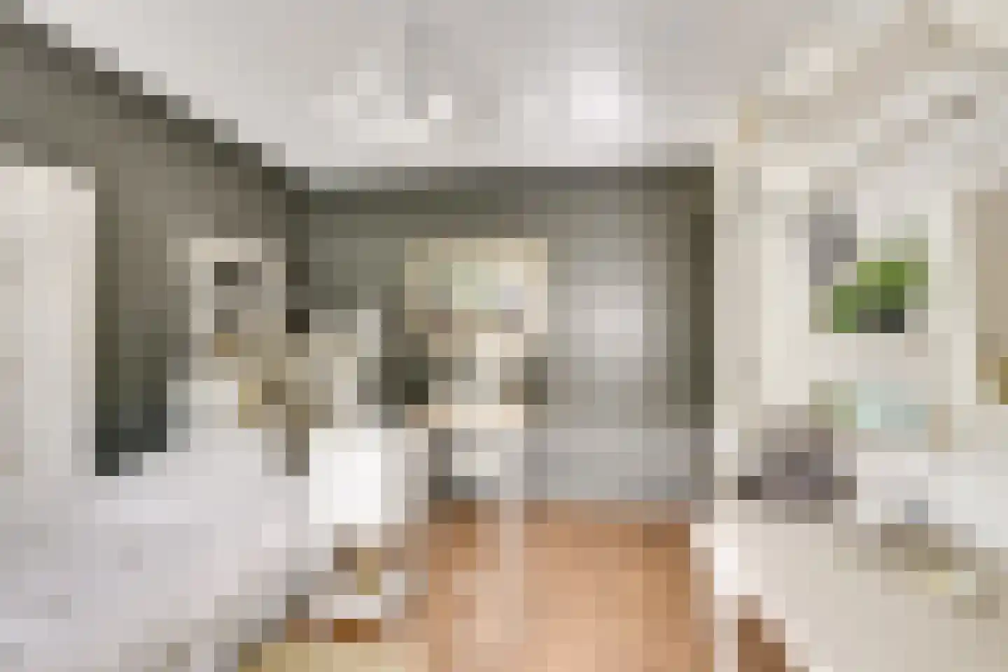 Meerkoetweide 79 Houten thumbnail 28