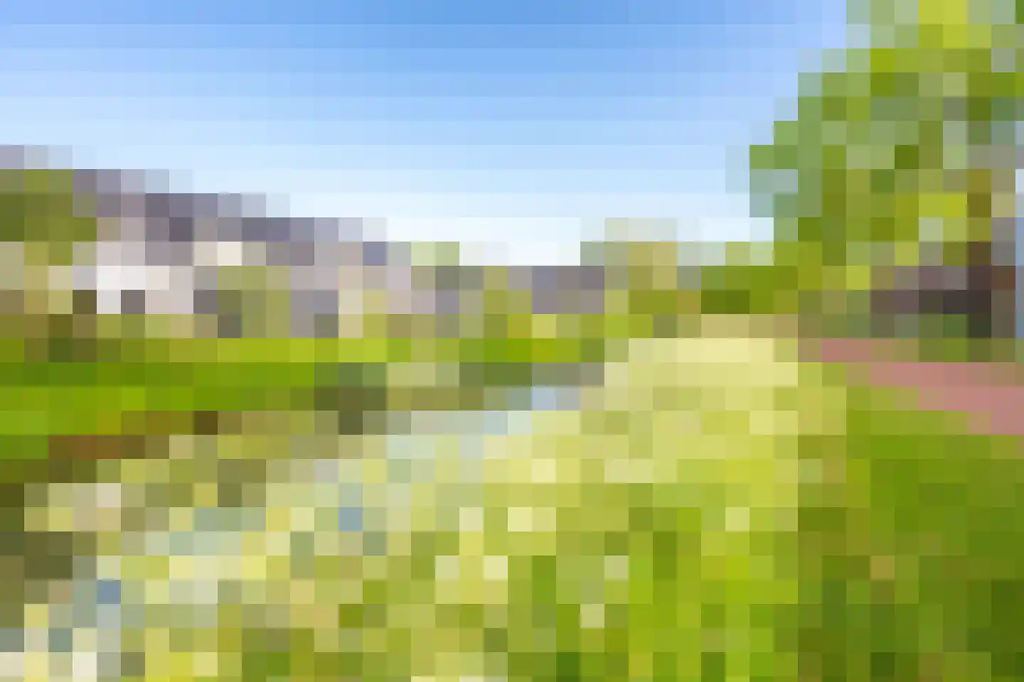 Meerkoetweide 79 Houten thumbnail 35