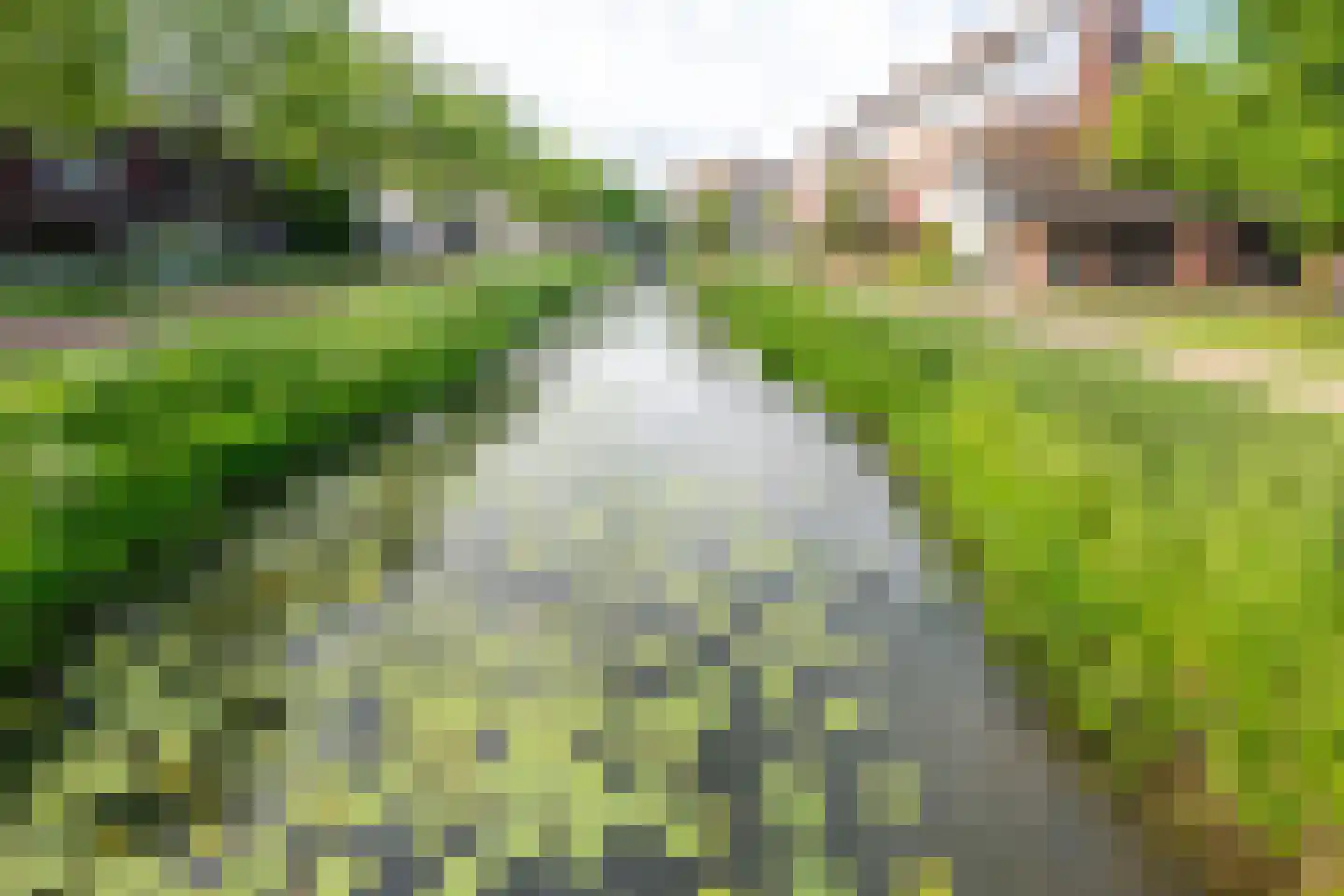 Meerkoetweide 79 Houten thumbnail 36