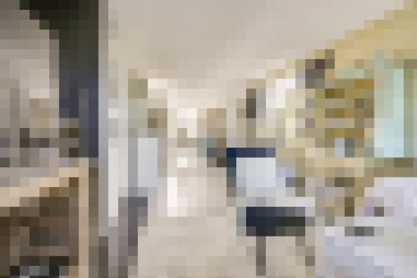 Meerkoetweide 79 Houten thumbnail 6