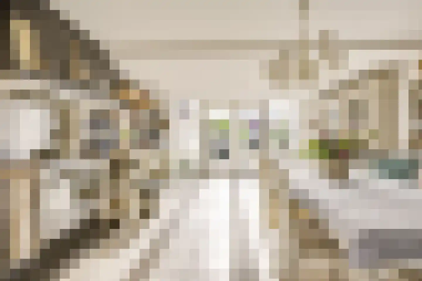 Meerkoetweide 79 Houten thumbnail 9