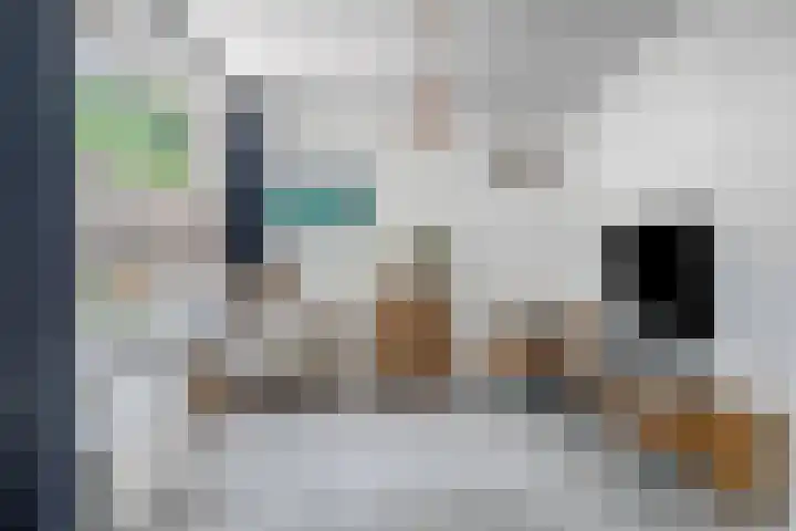 Meerkoldreef 7 Tilburg thumbnail 13