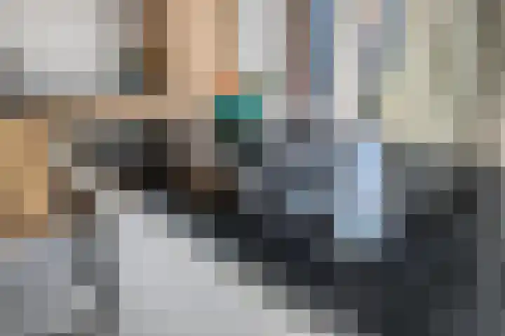 Meerkoldreef 7 Tilburg thumbnail 19