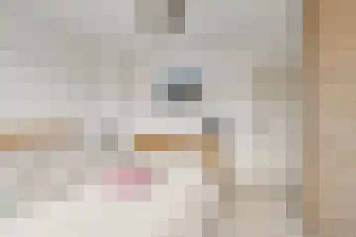 Meerkoldreef 7 Tilburg thumbnail 26