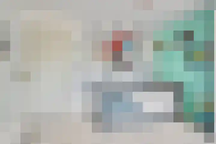 Meerkoldreef 7 Tilburg thumbnail 30