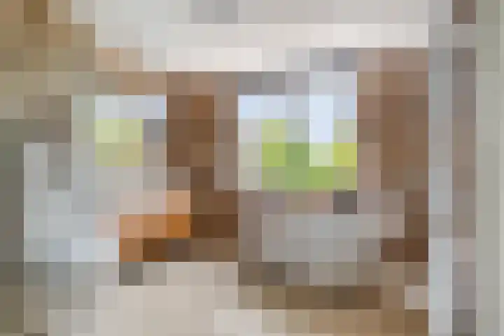 Meerkoldreef 7 Tilburg thumbnail 33
