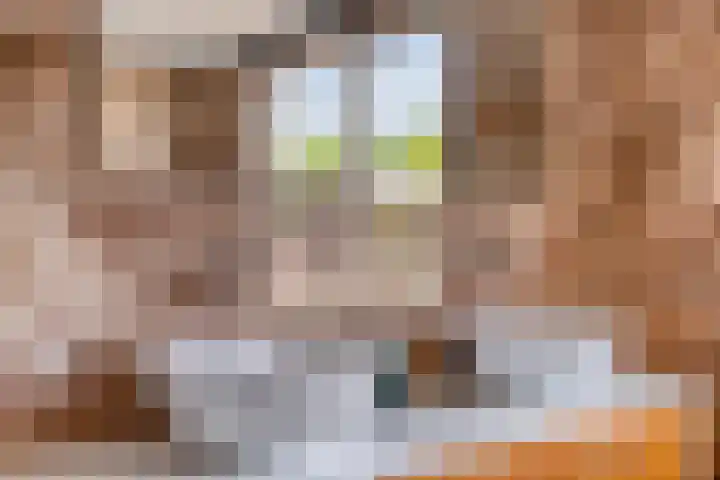 Meerkoldreef 7 Tilburg thumbnail 35