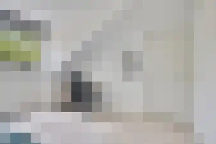 Meerkoldreef 7 Tilburg thumbnail 37