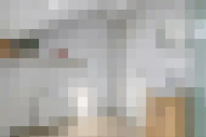 Meerkoldreef 7 Tilburg thumbnail 42