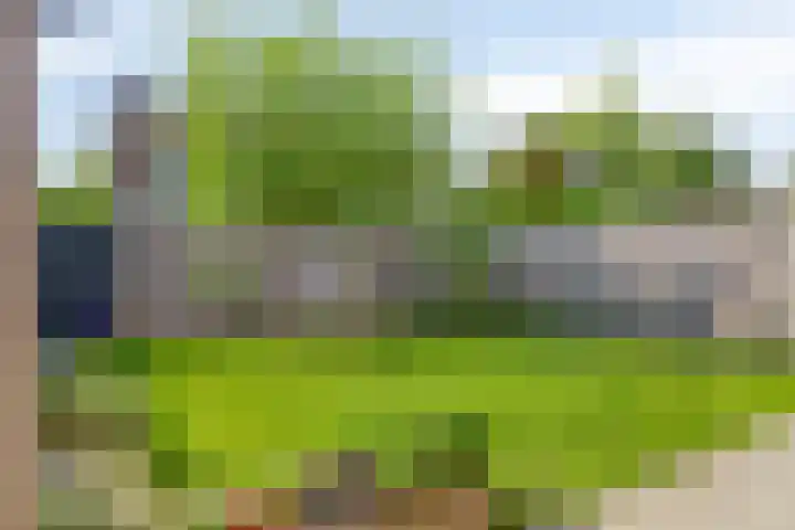 Meerkoldreef 7 Tilburg thumbnail 45