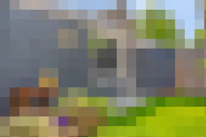 Meerkoldreef 7 Tilburg thumbnail 46