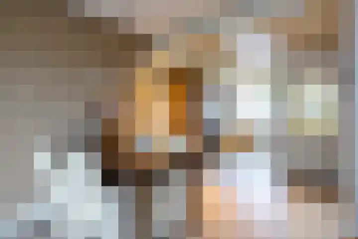 Meerkolstraat 1 Oldenzaal thumbnail 12