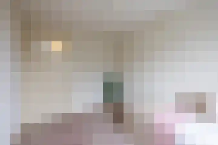 Meerkolstraat 1 Oldenzaal thumbnail 20