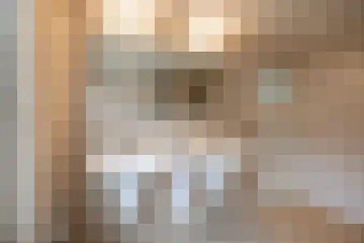 Meerkolstraat 1 Oldenzaal thumbnail 22