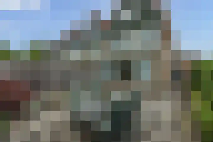 Meerkolstraat 1 Oldenzaal thumbnail 35