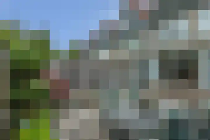 Meerkolstraat 1 Oldenzaal thumbnail 36
