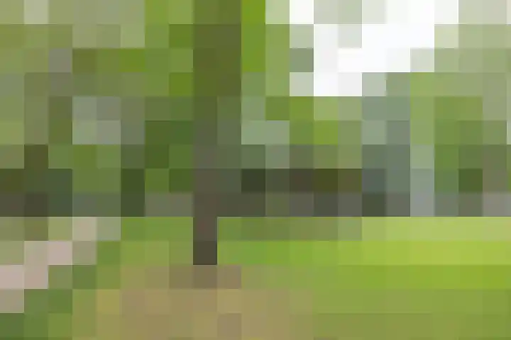 Meerkolstraat 1 Oldenzaal thumbnail 38