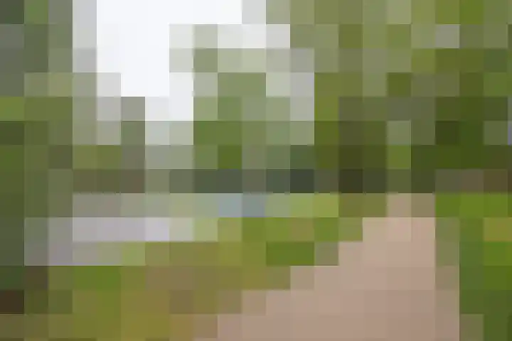 Meerkolstraat 1 Oldenzaal thumbnail 39