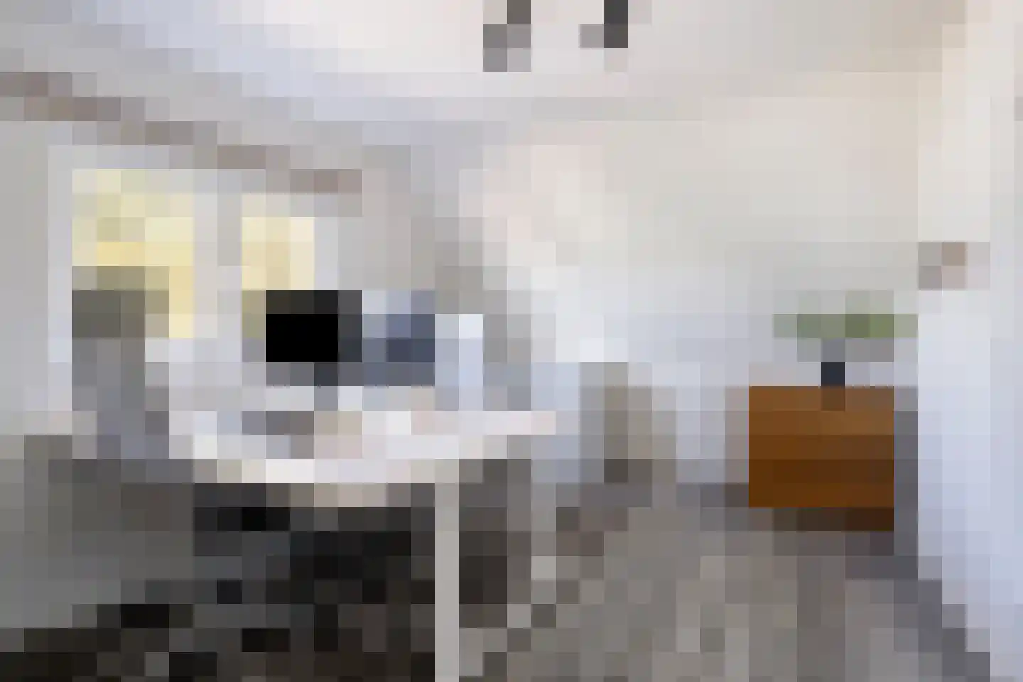 Meerkolstraat 5 Oldenzaal thumbnail 37