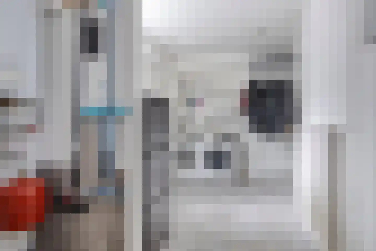 Meerkolstraat 5 Oldenzaal thumbnail 38
