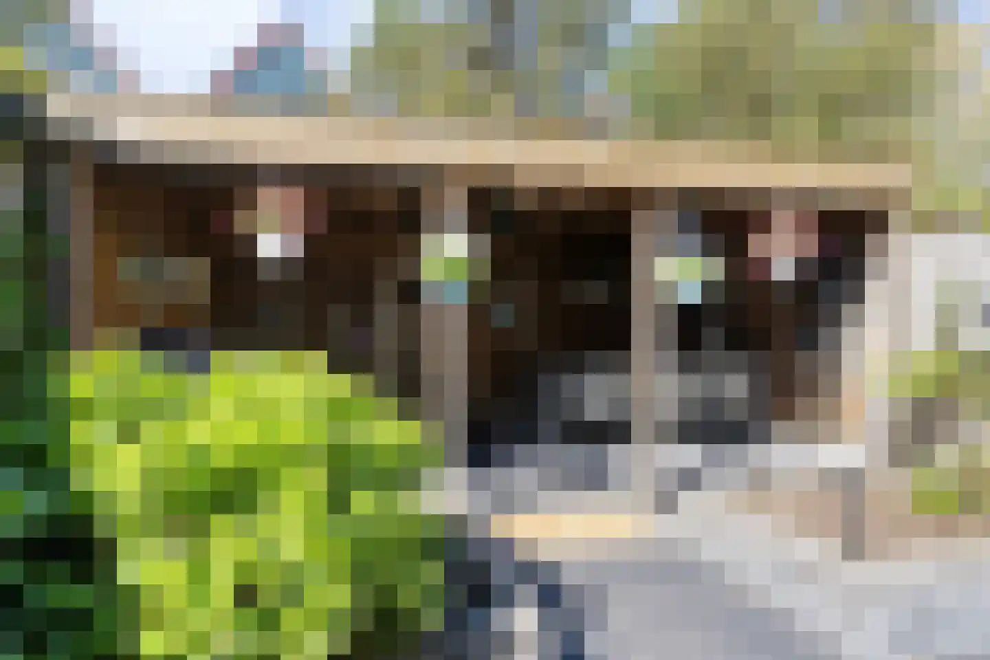 Meerkolstraat 5 Oldenzaal thumbnail 44