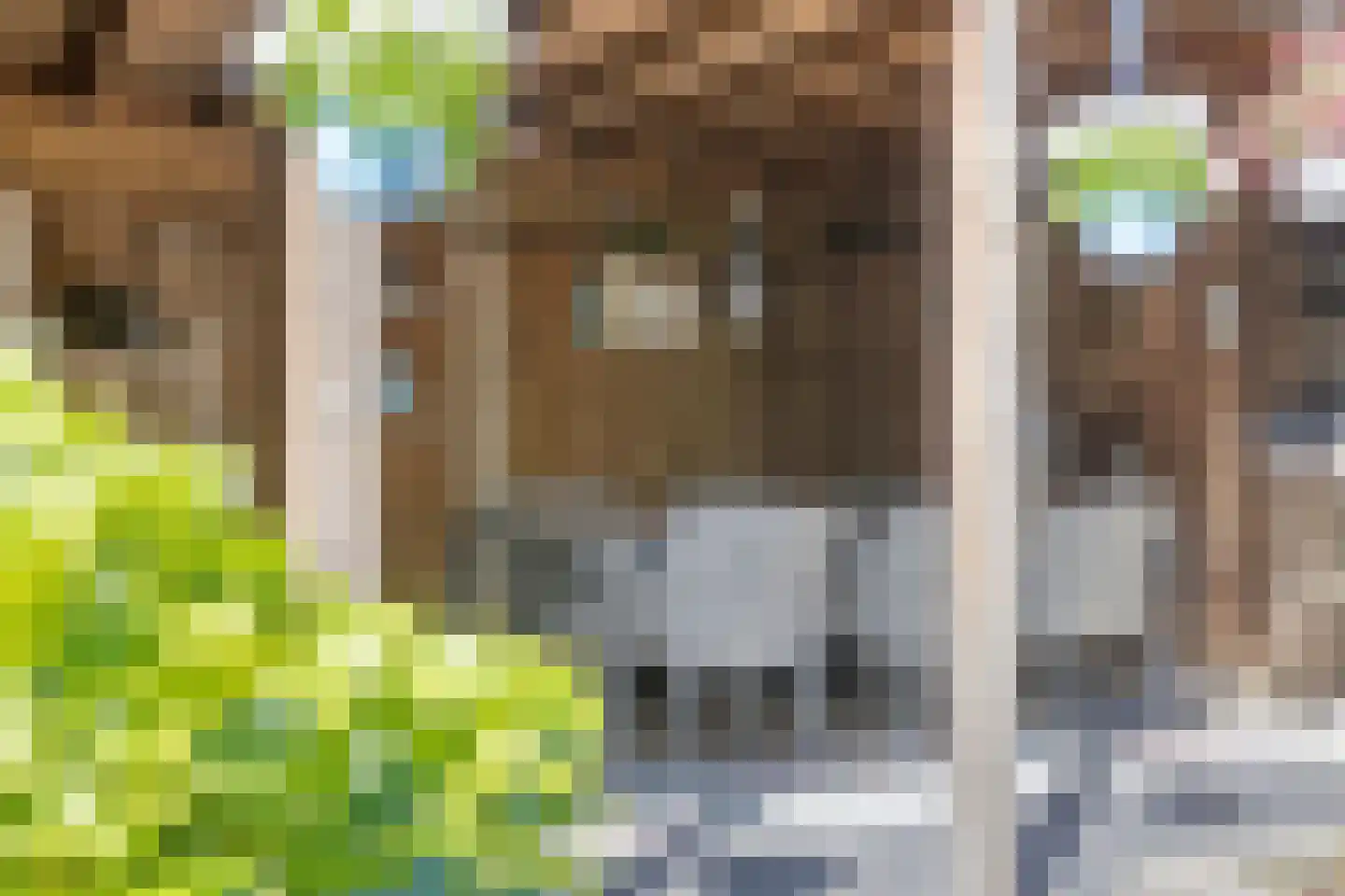 Meerkolstraat 5 Oldenzaal thumbnail 46