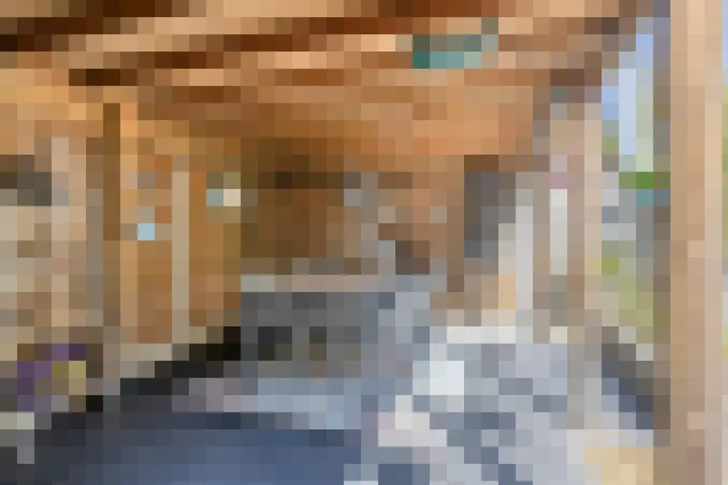 Meerkolstraat 5 Oldenzaal thumbnail 48