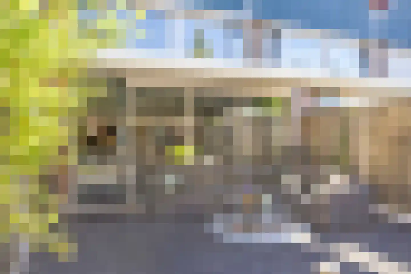 Meerkolstraat 5 Oldenzaal thumbnail 51