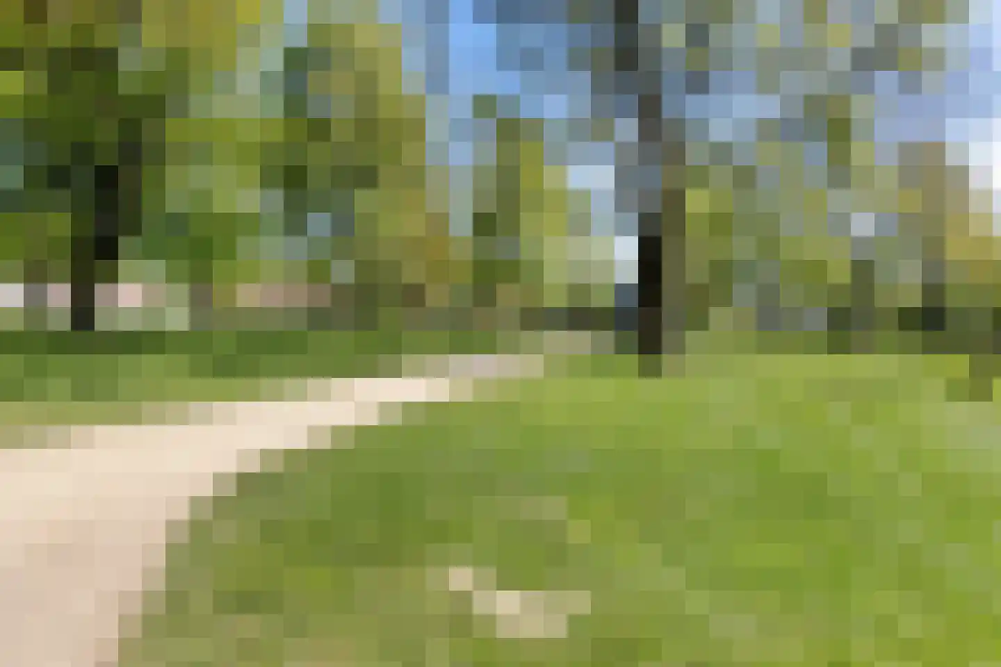 Meerkolstraat 5 Oldenzaal thumbnail 58