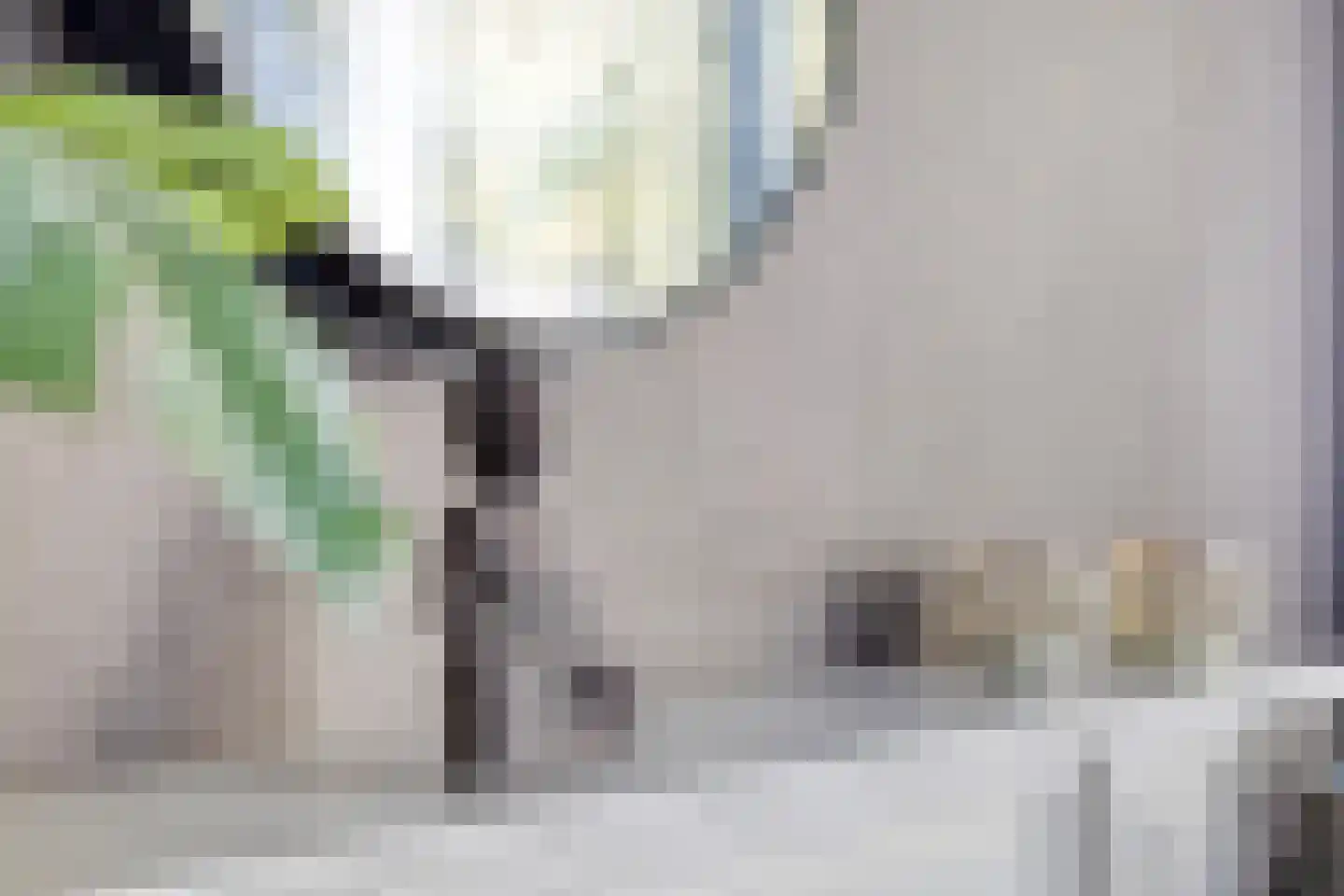 Meerkolstraat 5 Oldenzaal thumbnail 6