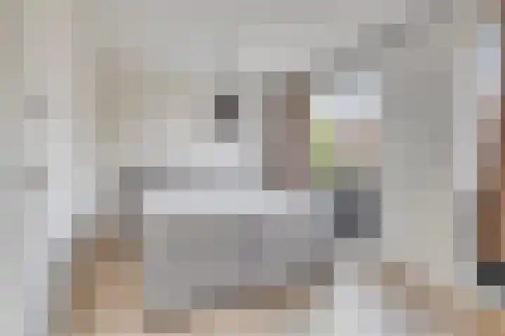 Meerkreuk 1 a Oude Wetering thumbnail 8