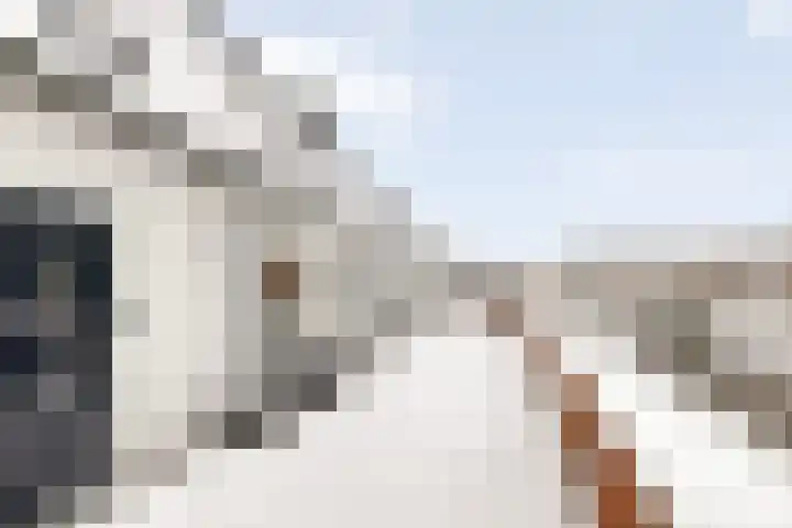 Meerkreuk 50 Oude Wetering thumbnail 17