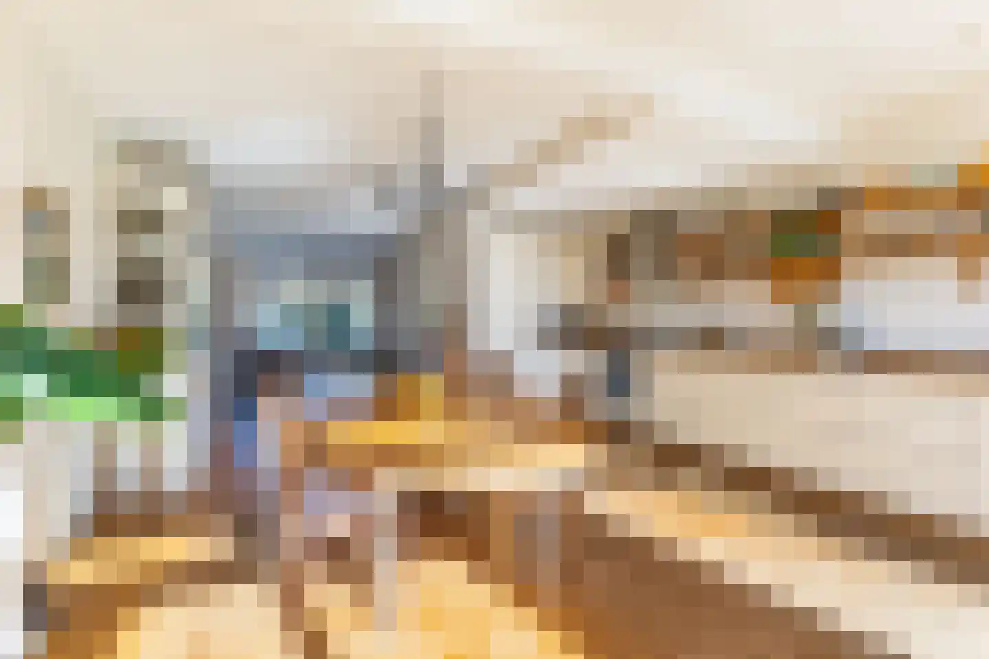 Meerlaan 102 Hillegom thumbnail 16