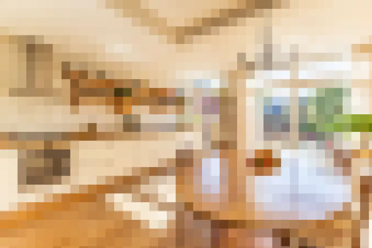 Meerlaan 102 Hillegom thumbnail 19